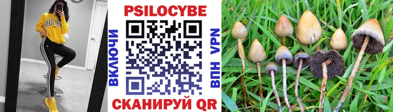 Псилоцибиновые грибы Psilocybe  где продают наркотики  Назрань 